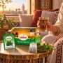 Infusion The Vert Menthe WALIMA