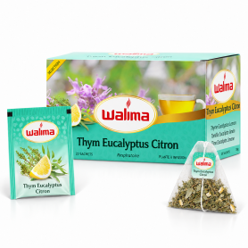 Infusion Thym Eucalyptus Citron