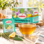 Infusion Thym Eucalyptus Citron