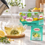 Infusion Thym Eucalyptus Citron