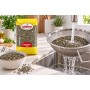 Lentille Verte 1kg