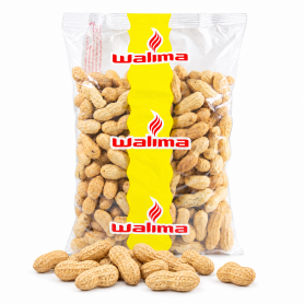 Arachide coque grillées 500g