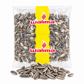 Graine Tournesol 250g