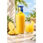 Nectar ROSTOY ANANAS 1L